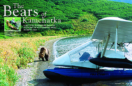 The Bears Of Kamchatka