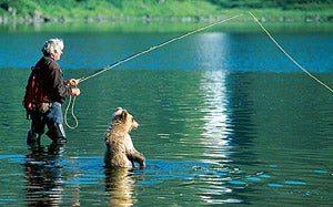 The Bears Of Kamchatka