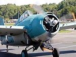 grumman wildcat