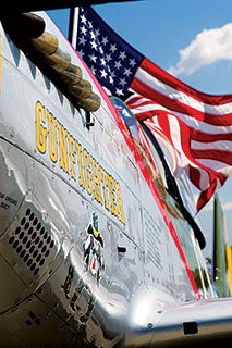 Mustang P-51: Gunfighter