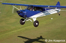 Carbon Cub EX-2