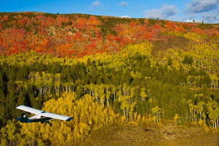 Aviat Husky A-1C