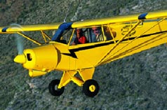 piper cub