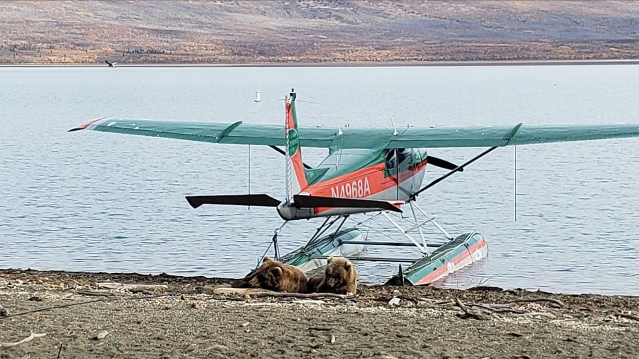Wildlife Preflight Complications by Brian Boe